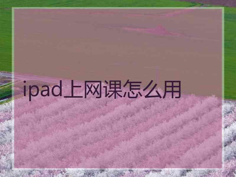 ipad上网课怎么用