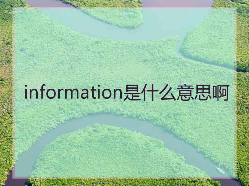 information是什么意思啊