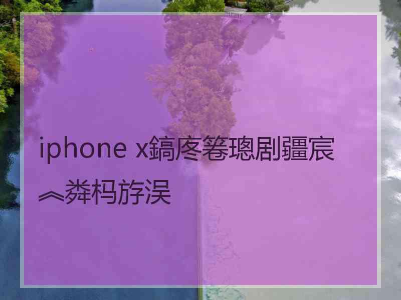 iphone x鎬庝箞璁剧疆宸︽粦杩斿洖