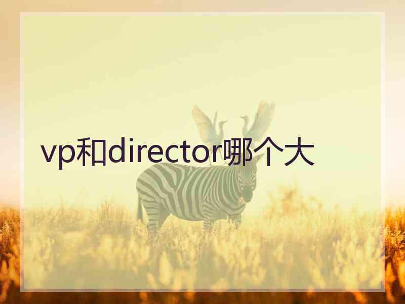 vp和director哪个大