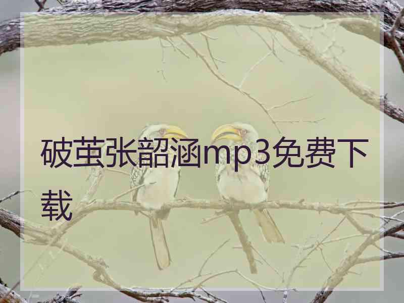 破茧张韶涵mp3免费下载