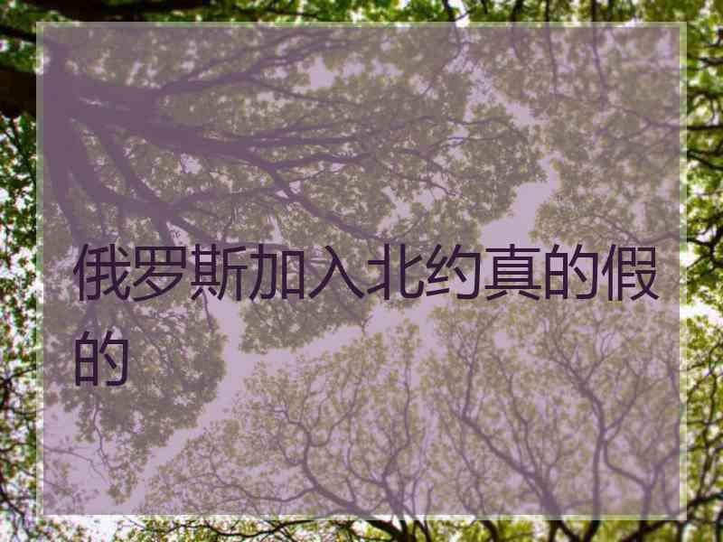 俄罗斯加入北约真的假的