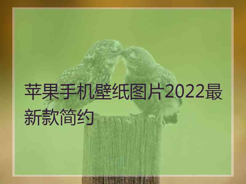 苹果手机壁纸图片2022最新款简约