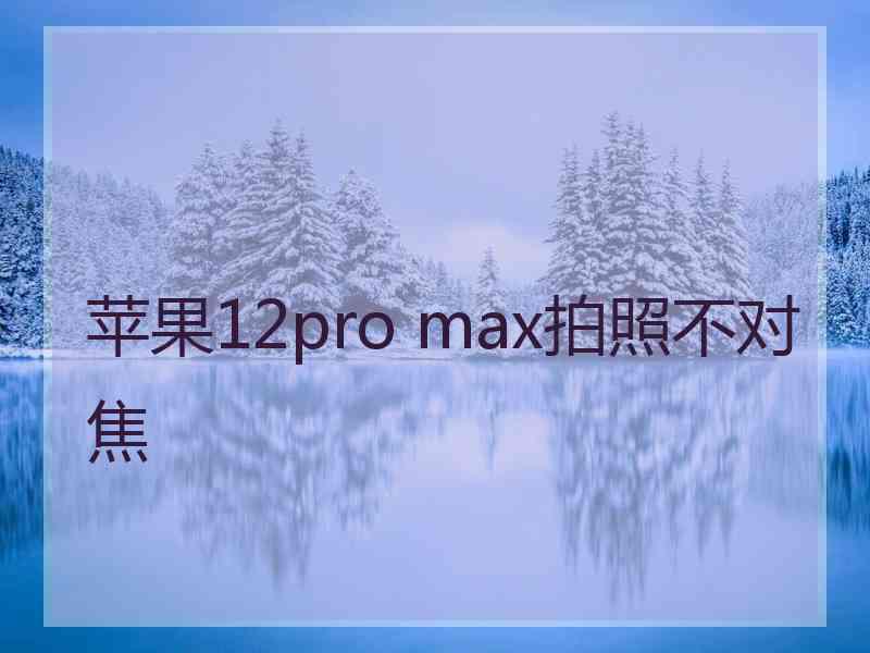 苹果12pro max拍照不对焦