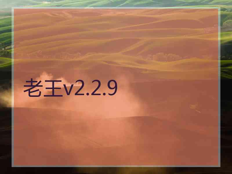 老王v2.2.9