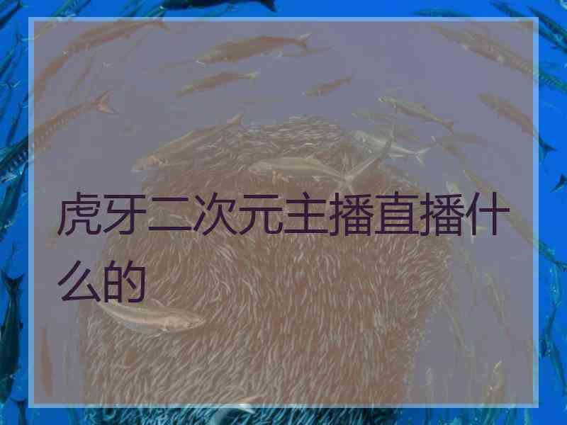 虎牙二次元主播直播什么的