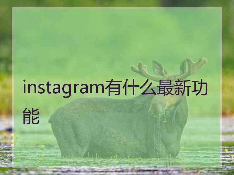 instagram有什么最新功能