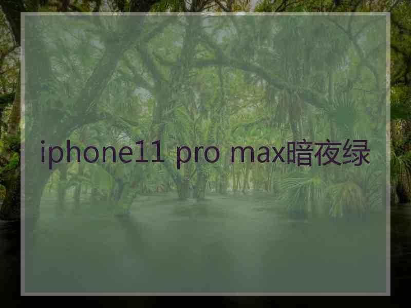 iphone11 pro max暗夜绿