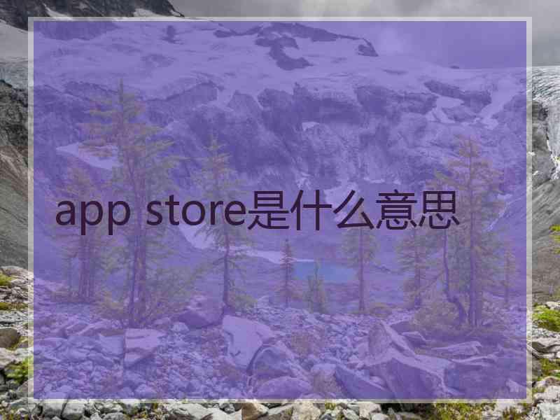 app store是什么意思