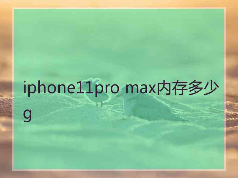 iphone11pro max内存多少g