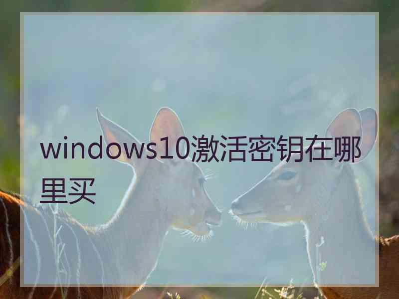 windows10激活密钥在哪里买