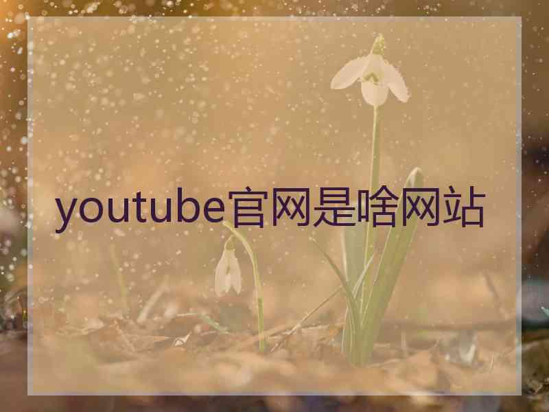 youtube官网是啥网站