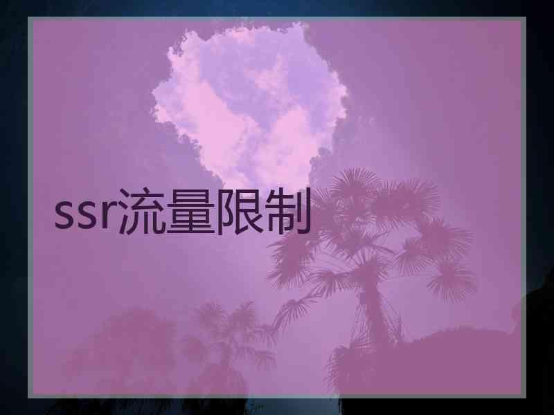 ssr流量限制