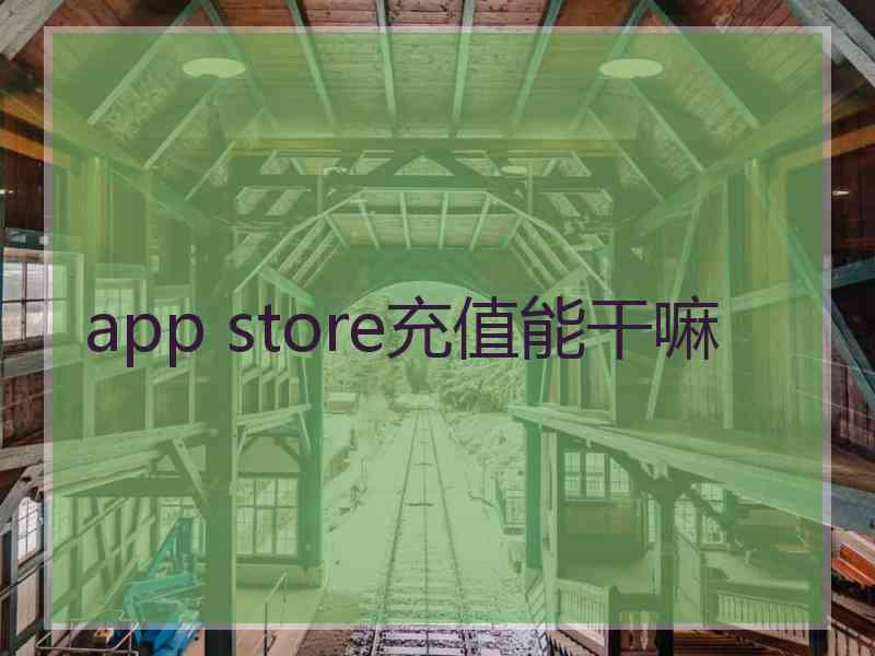 app store充值能干嘛