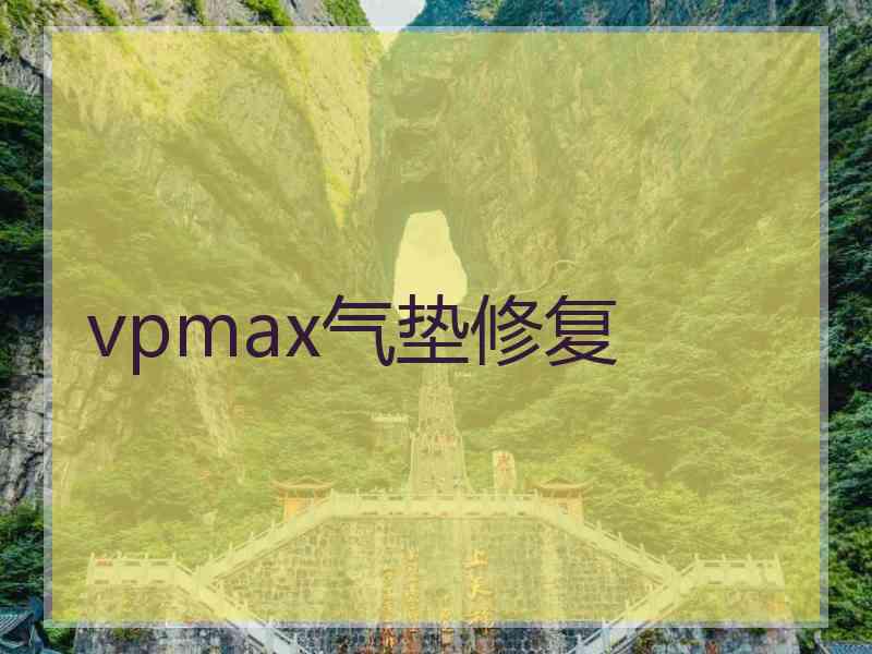 vpmax气垫修复