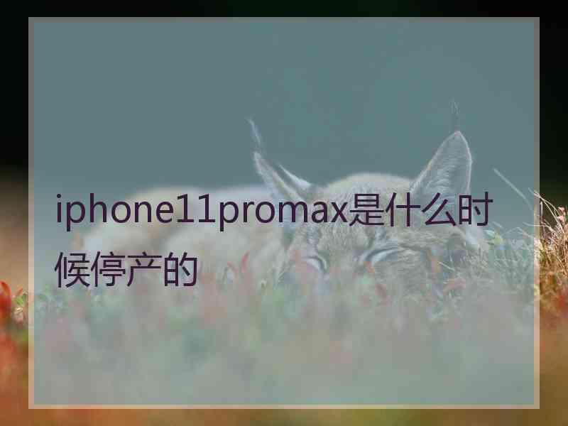 iphone11promax是什么时候停产的