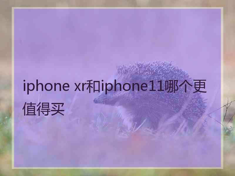 iphone xr和iphone11哪个更值得买