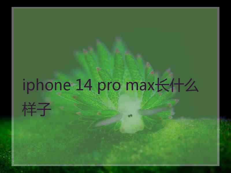 iphone 14 pro max长什么样子