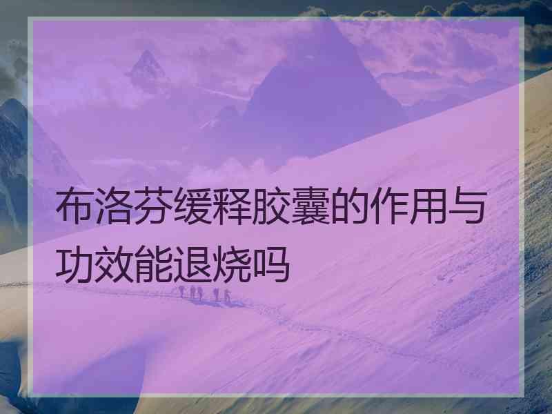 布洛芬缓释胶囊的作用与功效能退烧吗