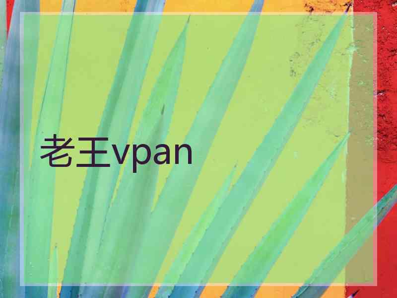 老王vpan