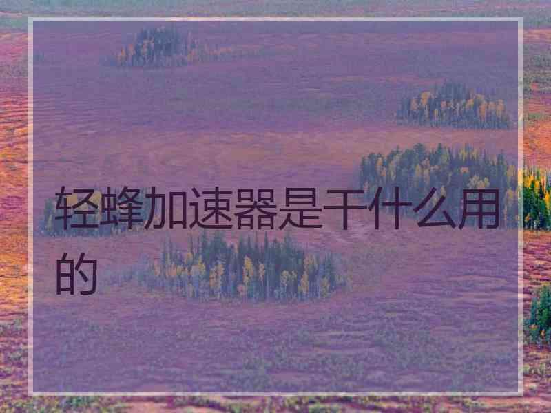 轻蜂加速器是干什么用的