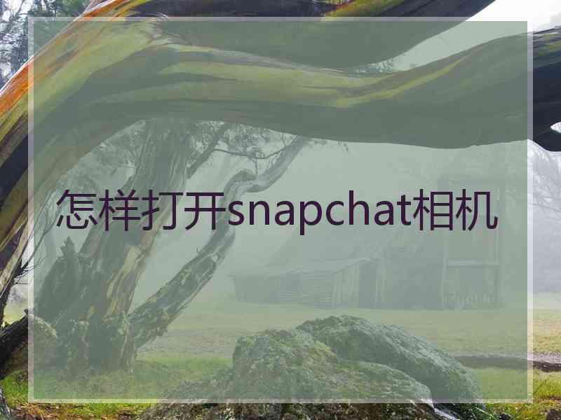 怎样打开snapchat相机