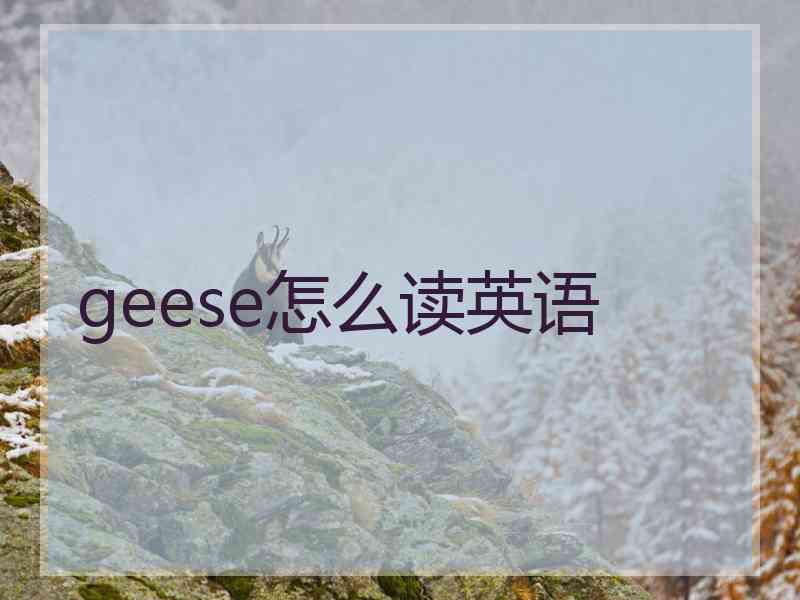 geese怎么读英语