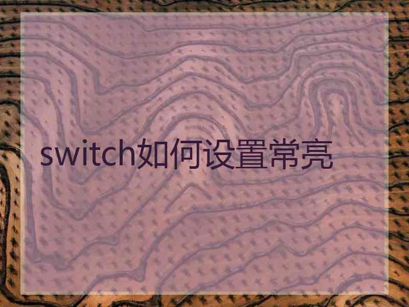 switch如何设置常亮