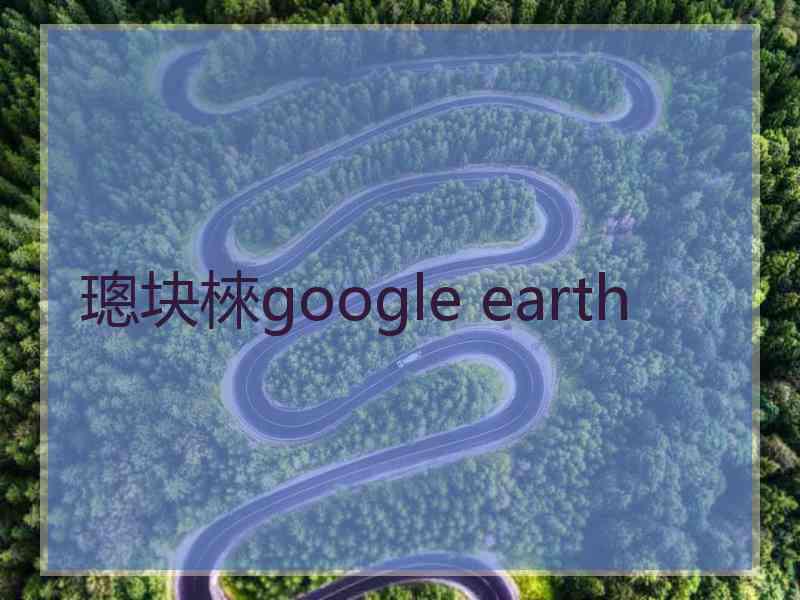 璁块棶google earth