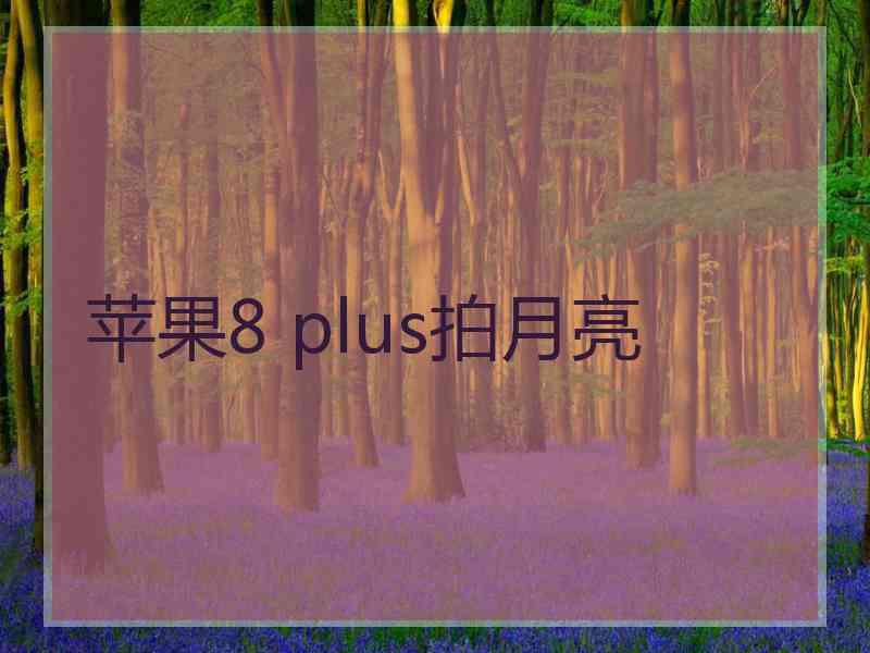 苹果8 plus拍月亮