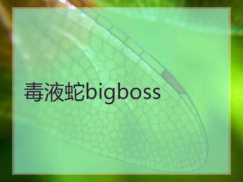 毒液蛇bigboss