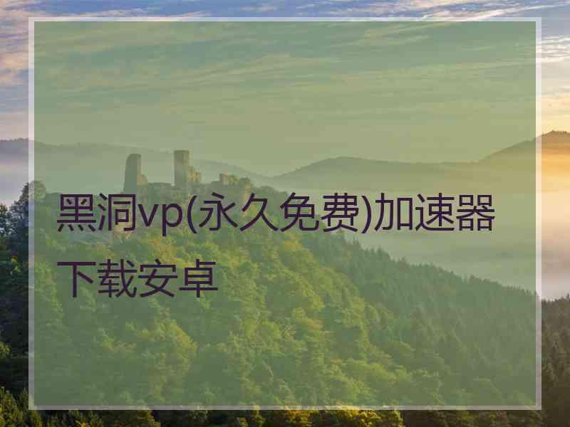 黑洞vp(永久免费)加速器下载安卓