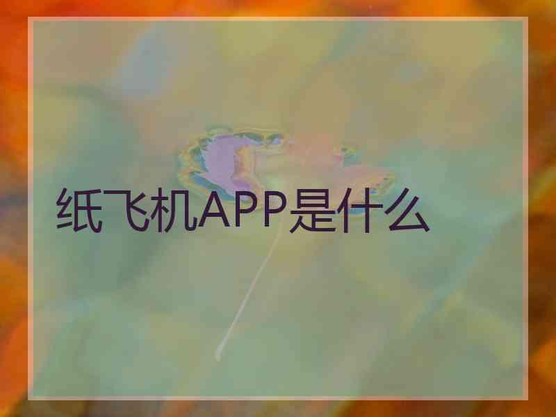 纸飞机APP是什么