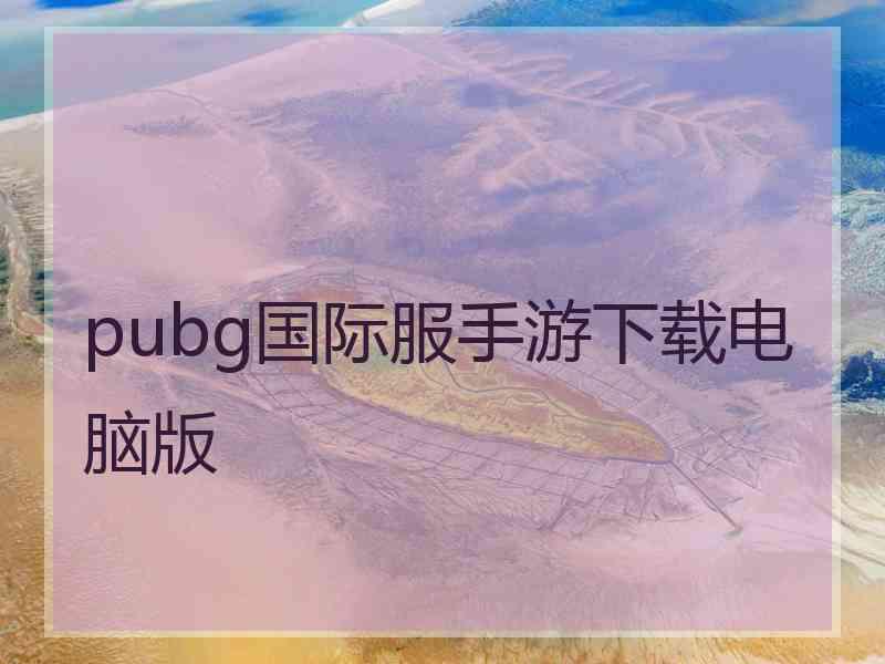 pubg国际服手游下载电脑版