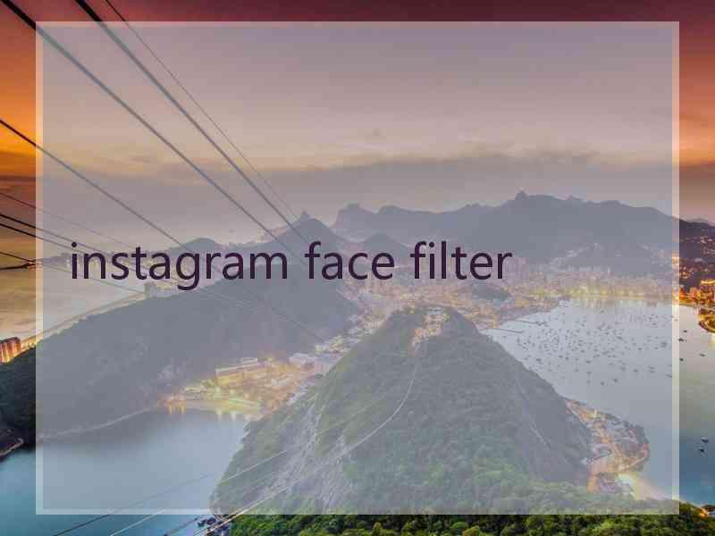 instagram face filter