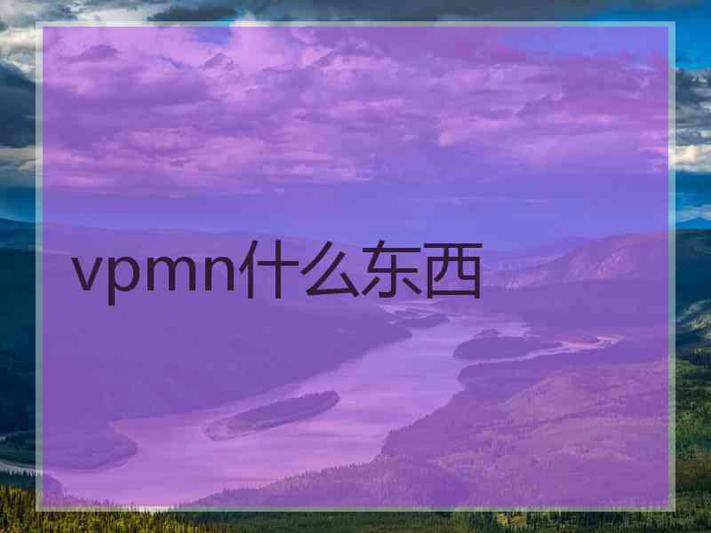 vpmn什么东西