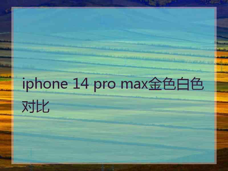 iphone 14 pro max金色白色对比