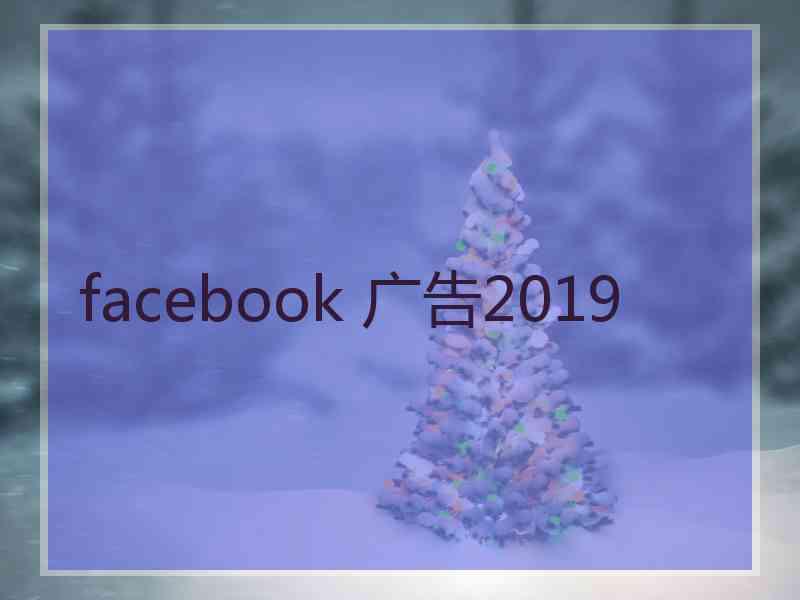 facebook 广告2019