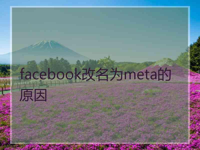 facebook改名为meta的原因