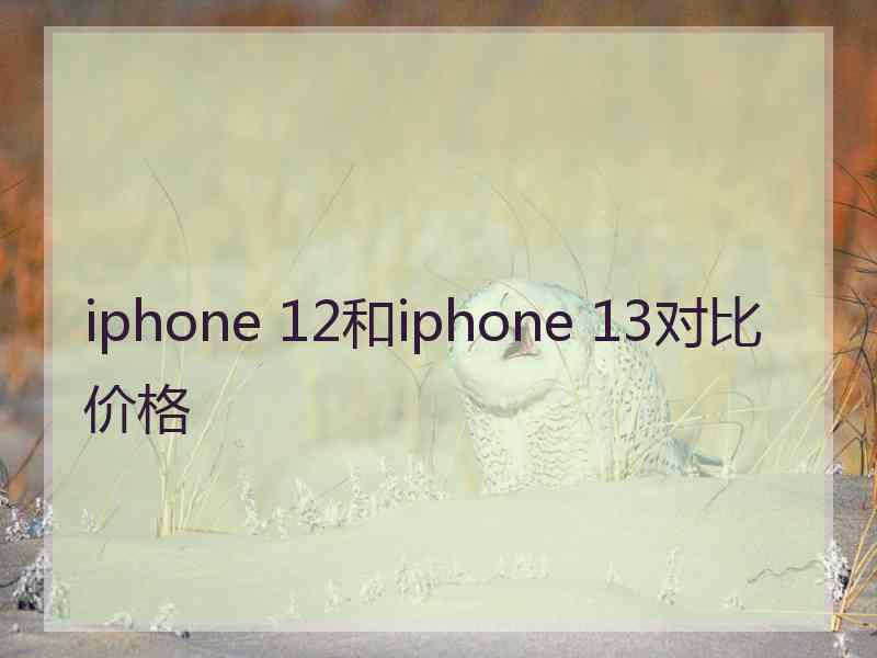 iphone 12和iphone 13对比价格