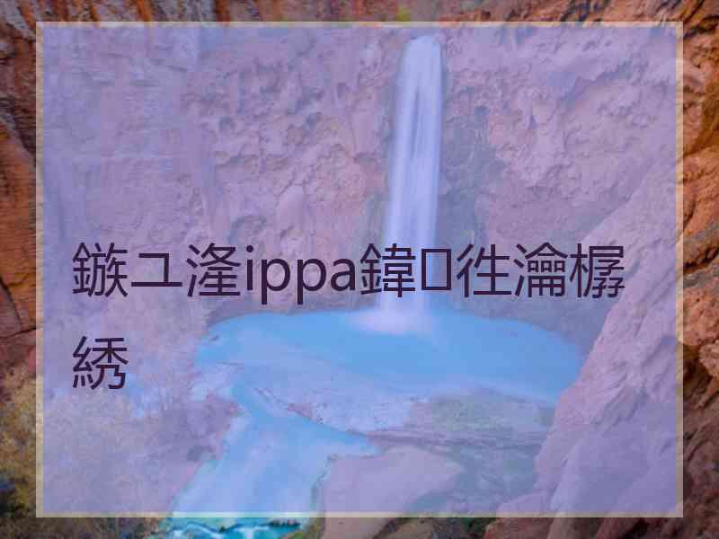 鏃ユ湰ippa鍏徃瀹樼綉