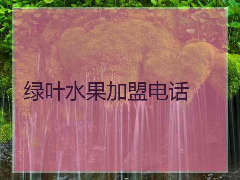 绿叶水果加盟电话