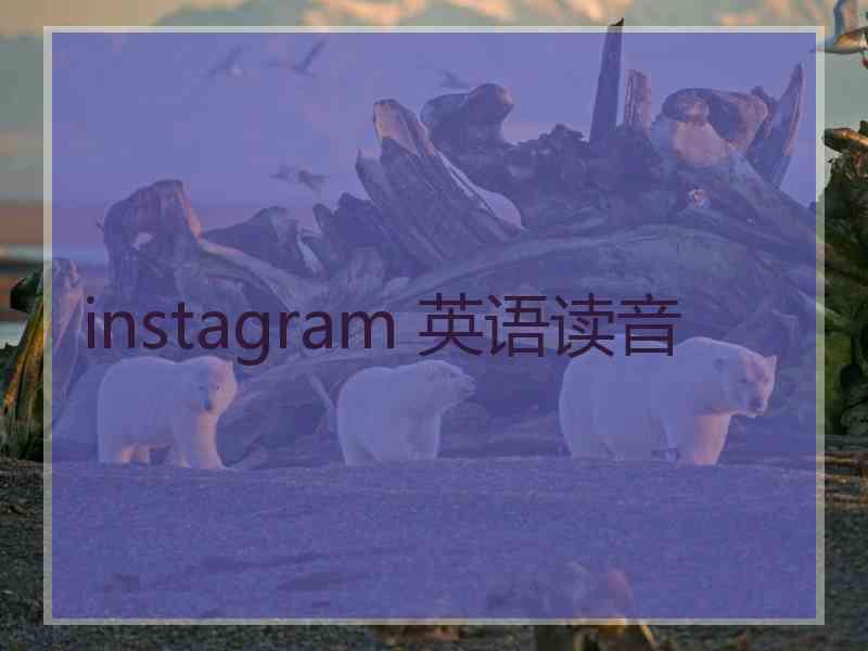 instagram 英语读音