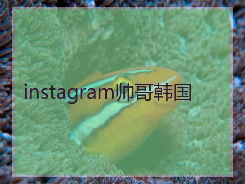 instagram帅哥韩国