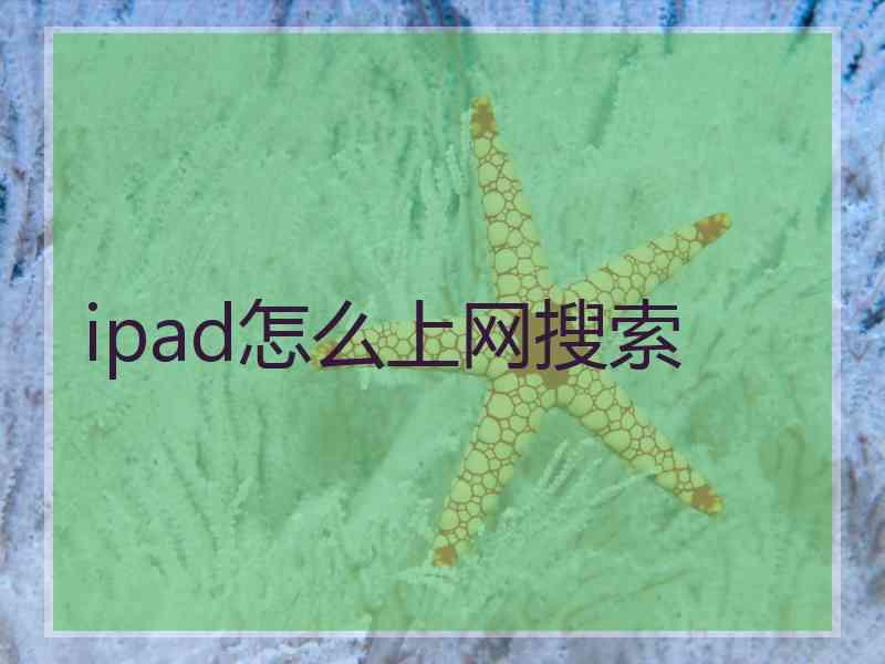 ipad怎么上网搜索