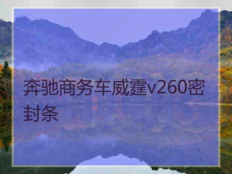 奔驰商务车威霆v260密封条