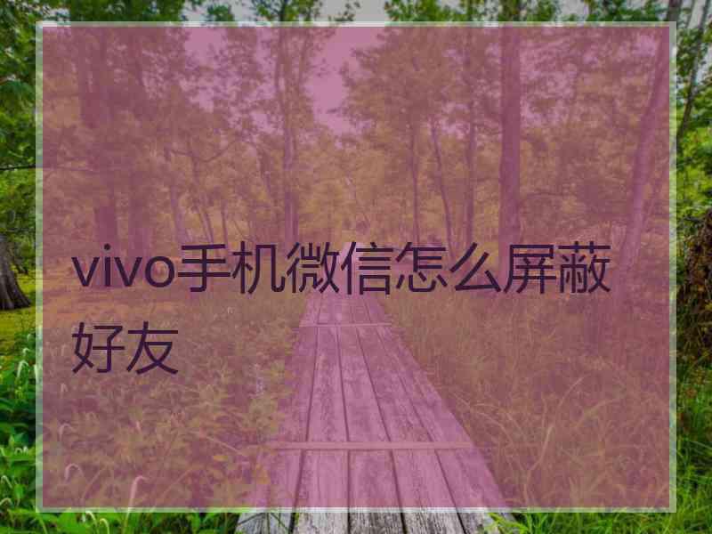 vivo手机微信怎么屏蔽好友