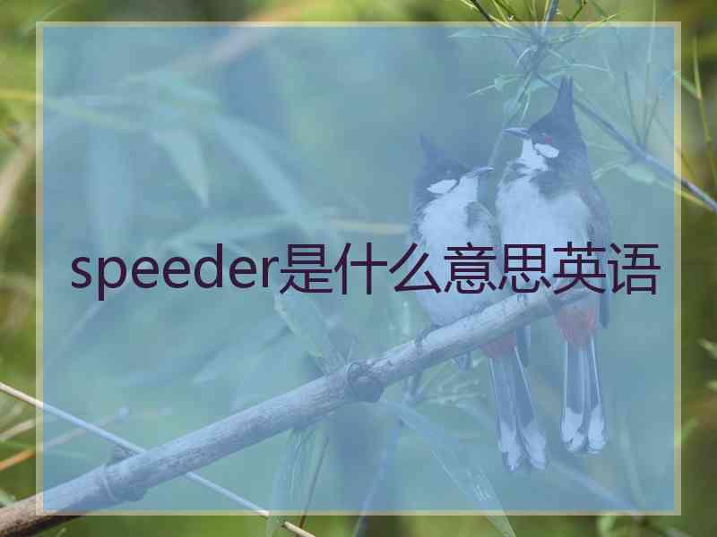 speeder是什么意思英语