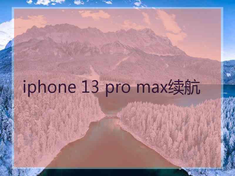 iphone 13 pro max续航