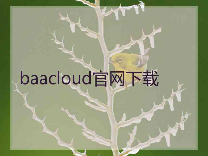 baacloud官网下载